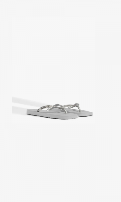 Schutz Chinelo Flip Flop Monomania Prata | S2229600110006